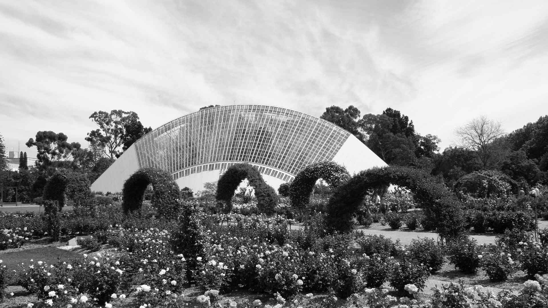 No Win, No Fee Policy Matti Lamb & Associates