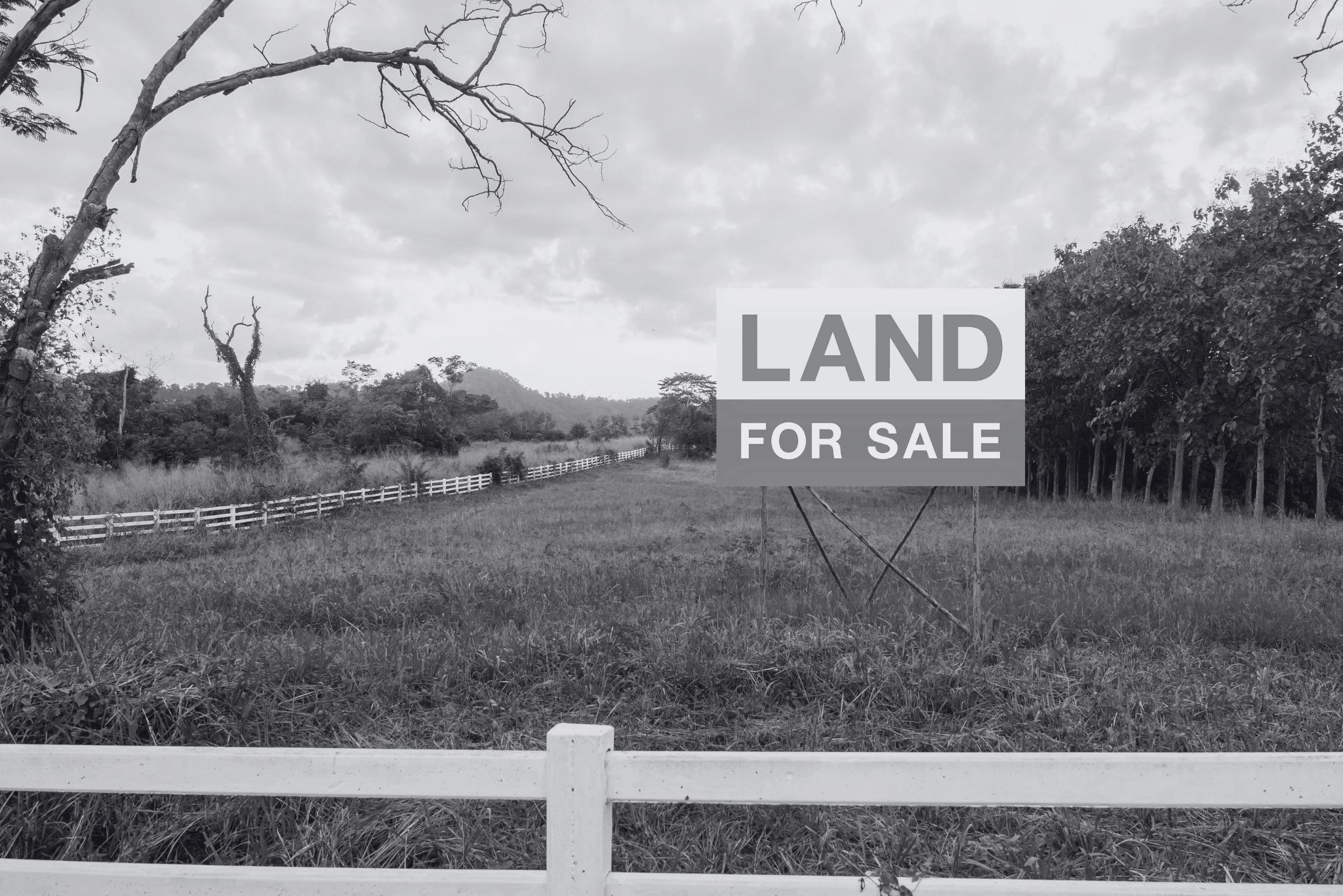 Buying Land to Build Your Dream Home Top Tips Matti Lamb & Associates